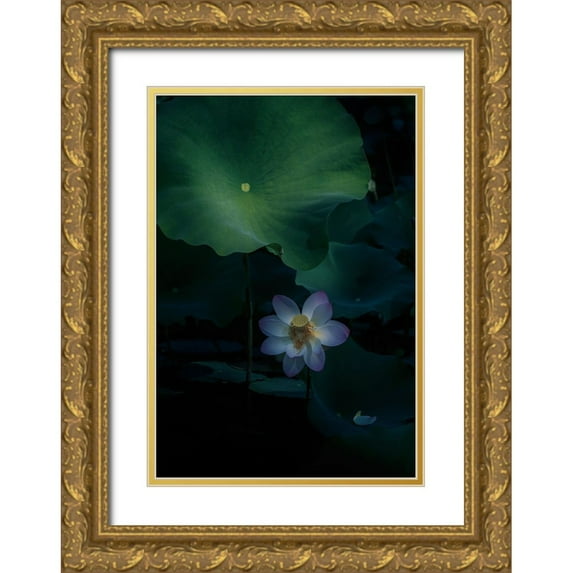 Tseng, Judy 23x32 Gold Ornate Wood Framed with Double Matting Museum Art Print Titled - Comfort Zone!