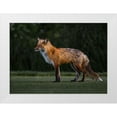 thumbnail image 1 of Tseng, Judy 24x19 White Modern Wood Framed Museum Art Print Titled - You Caught My Eyes, 1 of 4