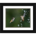 thumbnail image 1 of Tseng, Judy 32x25 Black Ornate Wood Framed with Double Matting Museum Art Print Titled - Summer Fun, 1 of 4