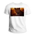 thumbnail image 1 of Tshirts Shirts for Men,Tshirts Shirts for Women,Jungle Animal Leopard Pattern,2XL, 1 of 5