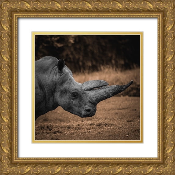 Tsikiridis, Georgios 20x20 Gold Ornate Wood Framed with Double Matting Museum Art Print Titled - Rhinoceros