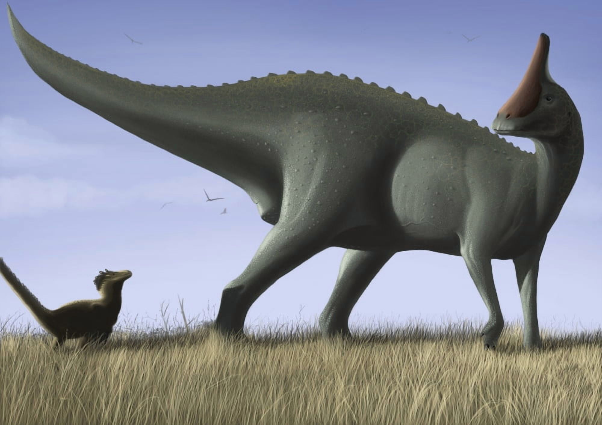 Tsintaosaurus spinorhinus and its offspring in an open field Canvas Art - Michele DessiStocktrek Images (17 x 12)