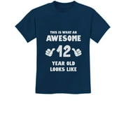 Tstars 12th Birthday T-Shirt - Awesome 12 Year Old Graphic Tee - Youth Party Celebration Apparel - Perfect Tween Birthday Gift - Boys & Girls B-Day Wear - Premium Cotton Kids Shirt