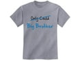 thumbnail image 1 of Tstars Boys Unisex Big Brother Shirt Gift for Future Big Brother Children Shirts Only Child to Big Brother Best Gift Idea Youth Birthday Pregnancy Announcement Big Bro Gifts for Brother Kids T Shirt, 1 of 6