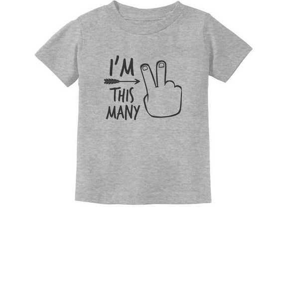 Tstars Toddler Boys 2nd Birthday T-Shirt - Unisex Birthday Gift - Celebratory Graphic Tee for Two-Year-Old - Fun Birthday Party Apparel - High-Quality Cotton T-shirt for Kids
