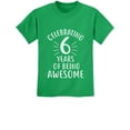 thumbnail image 1 of Tstars Unisex 6th Birthday T-shirt - Celebratory Graphic Tee for Six-Year-Olds - 6 Years of Being Awesome Theme - Ideal Gift for Birthday Parties - Youth Kids Apparel, 1 of 7