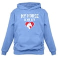 thumbnail image 1 of Tstars Womens Horse Gifts for Horse Lovers my Horse is my BFF Horse Shirts Horse Clothes Birthday Horse Gifts for Women Hoodie, 1 of 4