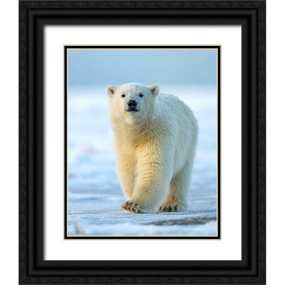 Tsui, Hung 15x18 Black Ornate Wood Framed with Double Matting Museum Art Print Titled - Confidence