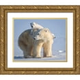 thumbnail image 1 of Tsui, Hung 18x15 Gold Ornate Wood Framed with Double Matting Museum Art Print Titled - Mischievous Little Polar Bear, 1 of 4
