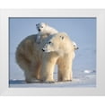 thumbnail image 1 of Tsui, Hung 24x20 White Modern Wood Framed Museum Art Print Titled - Mischievous Little Polar Bear, 1 of 4
