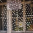 thumbnail image 1 of Tsuinz Halloween Giant Spider Web Decoration 12Ft Circular Cobweb Scary Props, 1 of 6