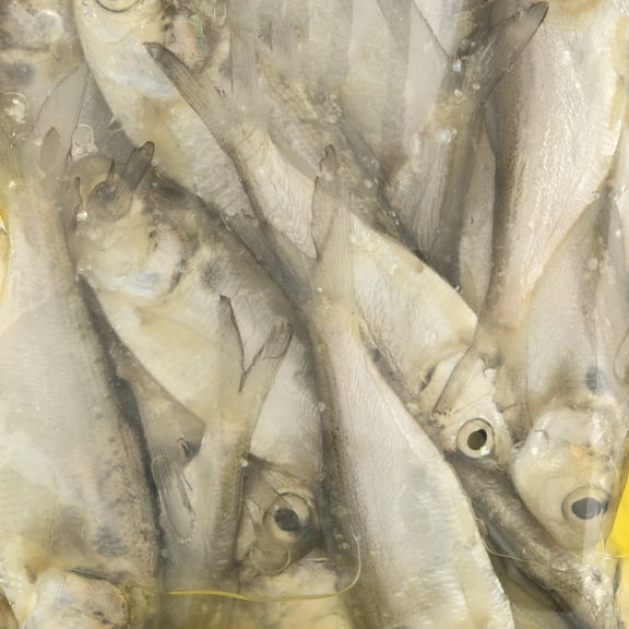 Killer Bee Cut Baitfish 4 oz. Preserved Natural Fishing Bait