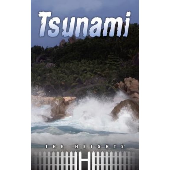 Tsunami (Paperback) 9781616516734