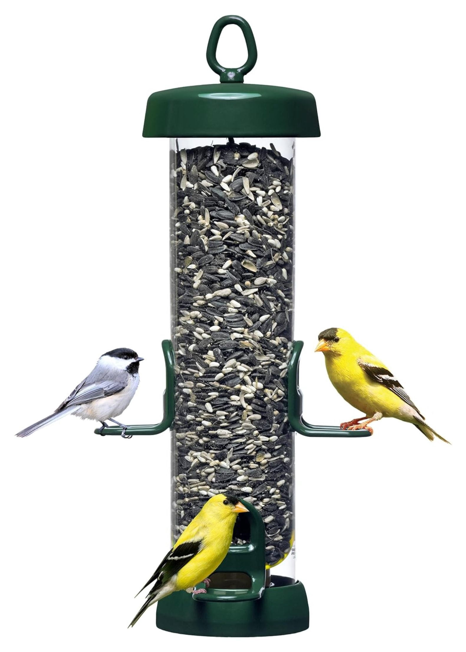 Tube 150 Wild Feeder w/4 Seed Ports, 2.6-Pound Seed Capacity, Pole-mountable