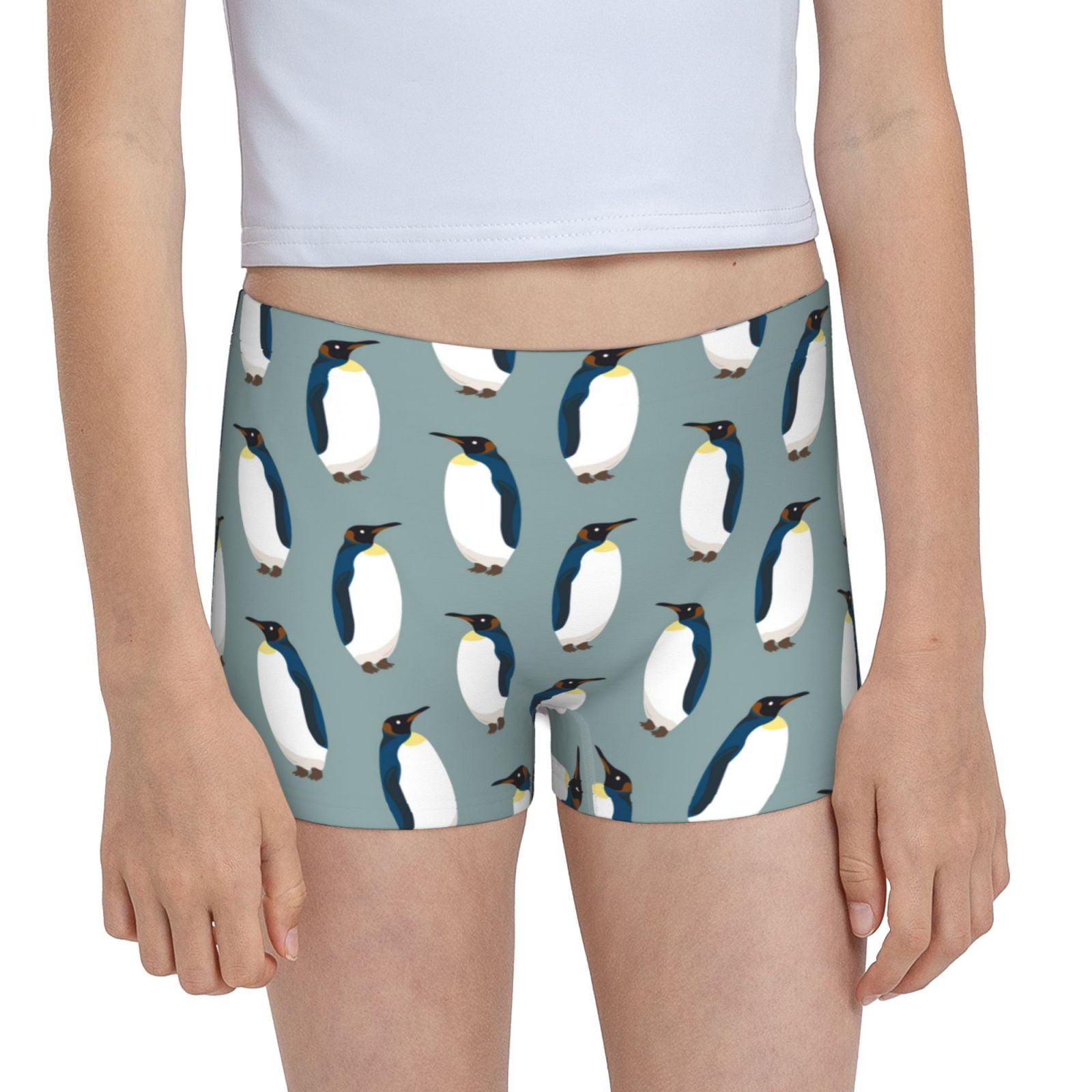 Easygdp Penguin Girls Hipster Cotton Underwear Little Girls' Underwear