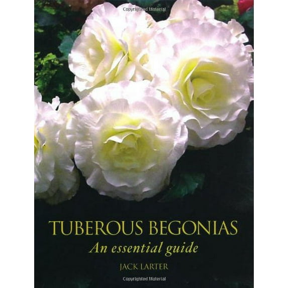 Tuberous Begonias : An Essential Guide (Hardcover)