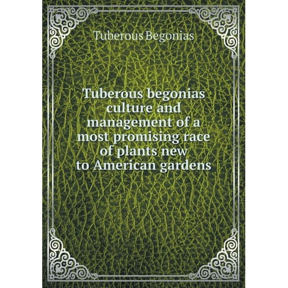Tuberous begonias culture and management of a most promising race of plants new to American gardens (Paperback)