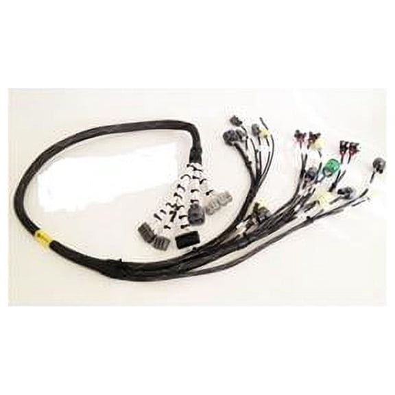 Tucked Budget Engine Harness with Chassis Specific Adapter for Honda B & D-Series OBD1