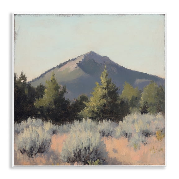 Stupell Industries Tucson Mountain Landscape Wall Plaque Art, design by Petal Prints Design
