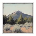thumbnail image 1 of Stupell Industries Tucson Mountain Landscape White Framed Giclee Art, design by Petal Prints Design, 1 of 8