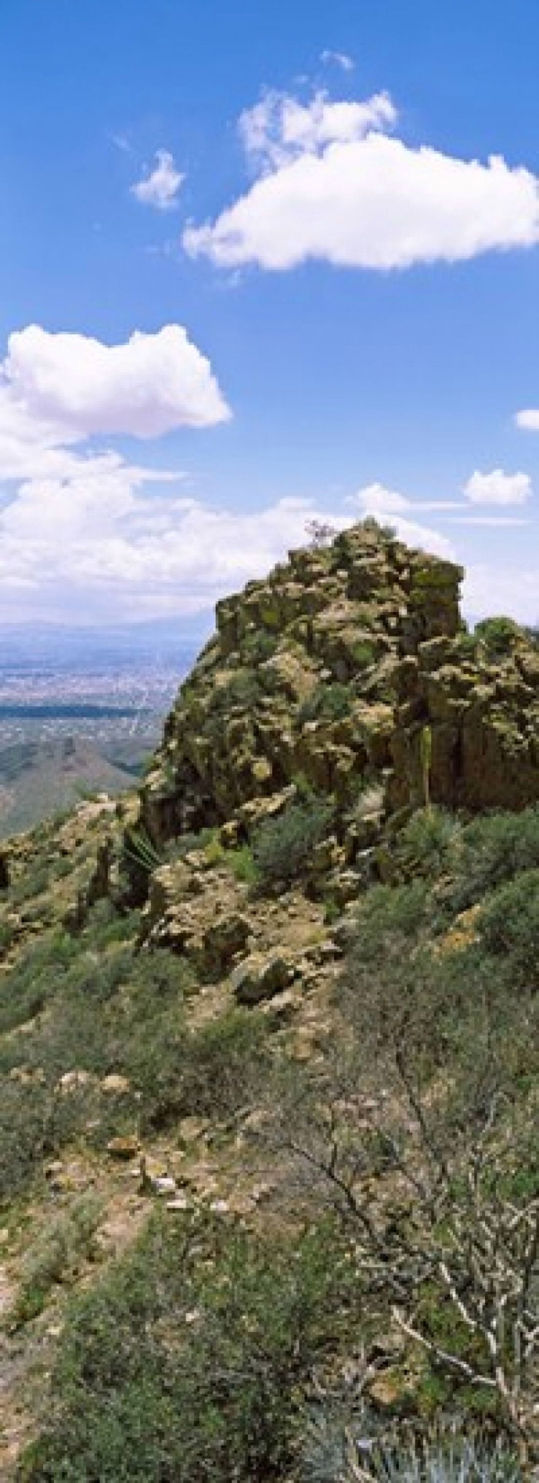 Tucson Mountain Park facing East Tucson Arizona USA Canvas Art - Panoramic Images (36 x 13)