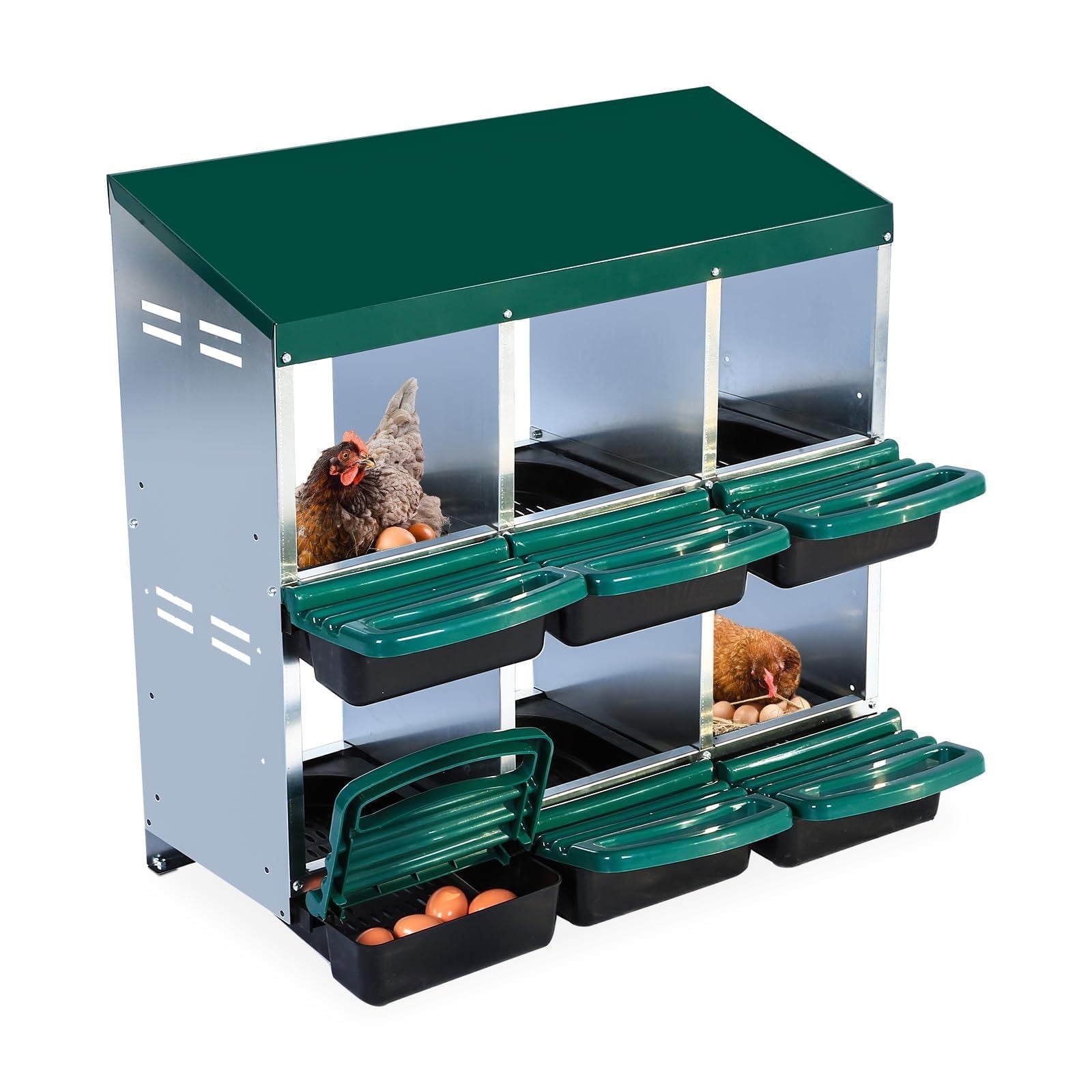 Green 6-Hole Metal Chicken Nesting Box with Rollout Egg Collection