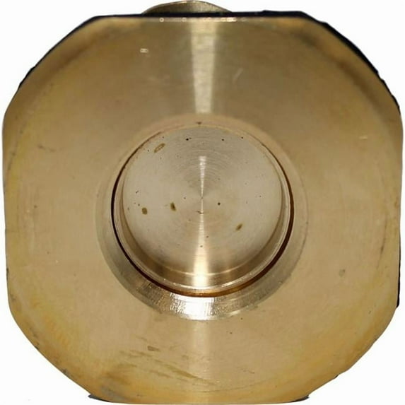 Tuff Stuff Products ADB-34 Brass Drain & Plug, Black - 0.75 in.