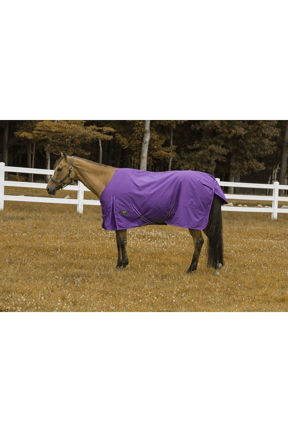 1200 D Comfy Winter Blanket