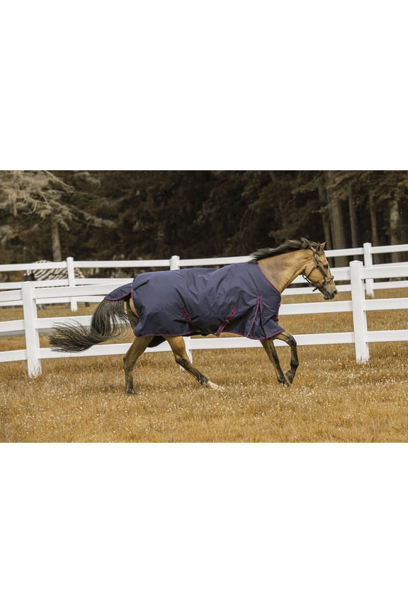 1200 D Comfy Winter Blanket