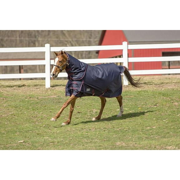 TuffRider 1200 D Comfy Winter Medium Weight Turnout Blanket w/ Detachable Neck- 200 GMS- Navy- 81