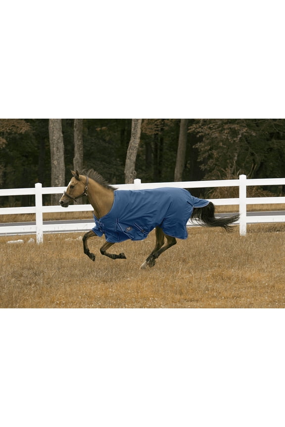 1200D Comfy Turnout Blanket 72 Royal
