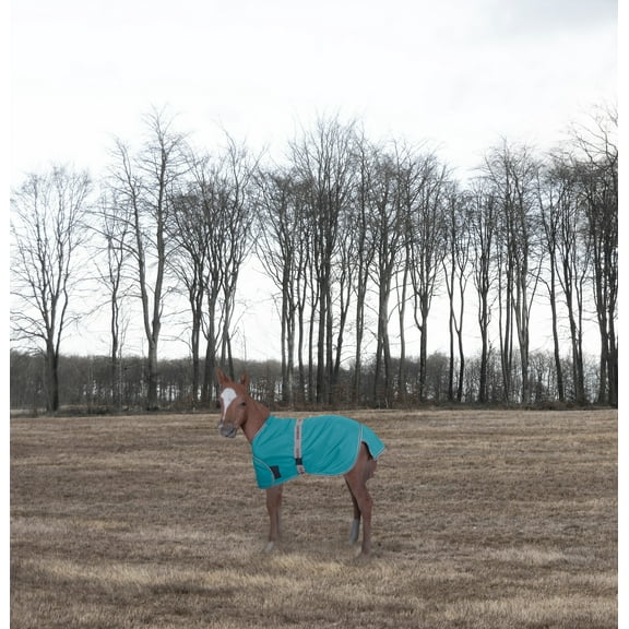 TuffRider 1200D Ripstop Foal Adjustable Turnout Blanket - Turquoise