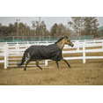 thumbnail image 1 of TuffRider 600D Comfy Waterproof Winter Blanket, 1 of 3