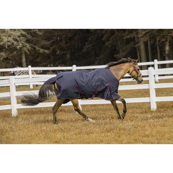 TuffRider 600 D Comfy Winter Ripstop Turnout Blanket Medium Weight 200 GSM Standard Neck - Navy - 84