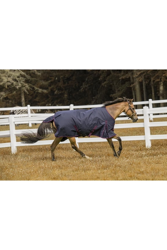 600 D Comfy Winter Ripstop Turnout Blanket Medium Weight 200 GSM Standard Neck - Navy - 84