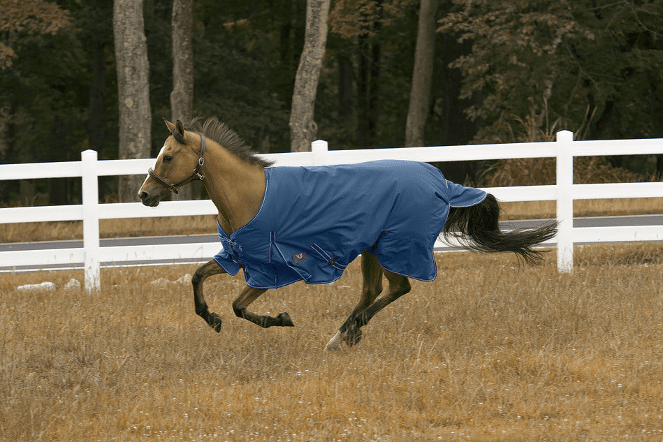 Derby Removable Adjustable Elastic Leg Straps for Horse Winter