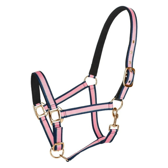 TuffRider Adjustable Nylon Breakaway Halter w/ Padded Crown and Rose Gold Hardware