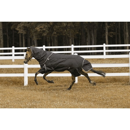 TuffRider All Seasons Blanket 78 Black