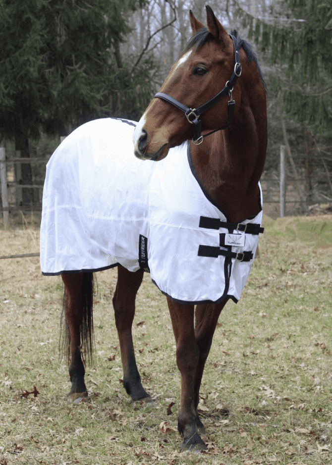 60" Horse Mesh Summer FlySheet Spring Airflow Purple 7311