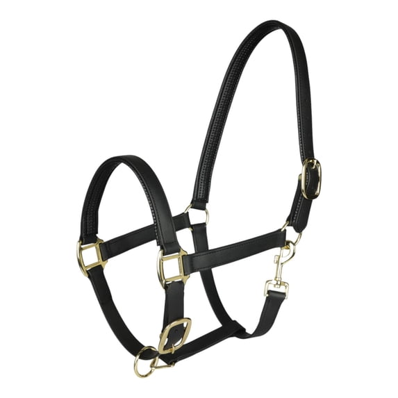 TuffRider EasyCare EquiLeather Heavy Duty Break Away Halter with Brass Plated Fittings-Black-Horse