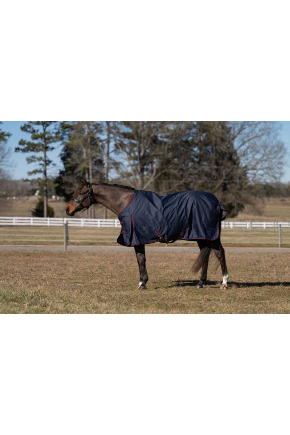 Ripstop Standard Neck LightWeight Turnout Blanket with 100 GSM Fill-Navy-75