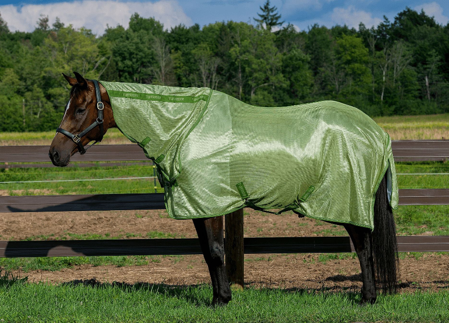 CHALLENGER Horse Neck Hood – Medium, Turquoise, Stretch Spandex For Comfort & Fit (800-1000 Lbs)