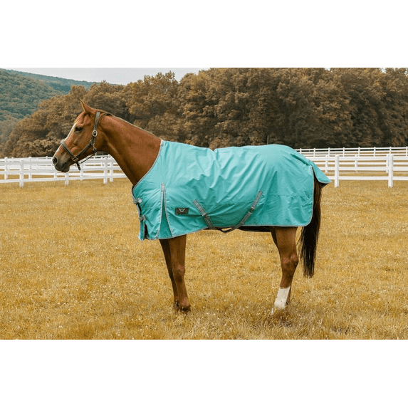 TuffRider 1200 D Comfy Winter Ripstop Turnout Blanket Medium Weight 200 GSM Standard Neck