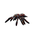 thumbnail image 1 of Tuffy Desert Tarantula Durable Plush Dog Toy, 1 of 9