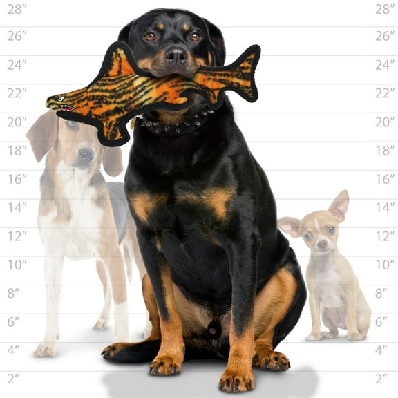 Tuffy Ocean Creature Tiger Shark Durable, Plush, & Squeaky Dog Toy