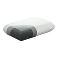 thumbnail image 1 of Tuft & Needle Foam Pillow - King, 1 of 3