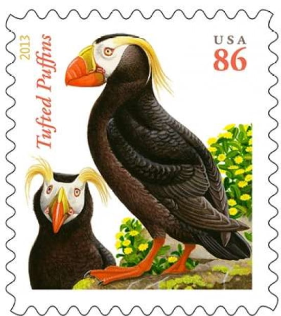 Tufted Puffins Canvas Art - US POSTAL SERVICE (24 x 24)
