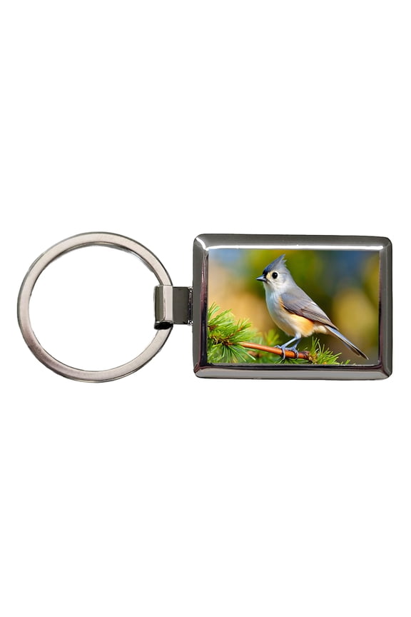Tufted Titmouse Backyard Bird Metal Rectangle Keychain
