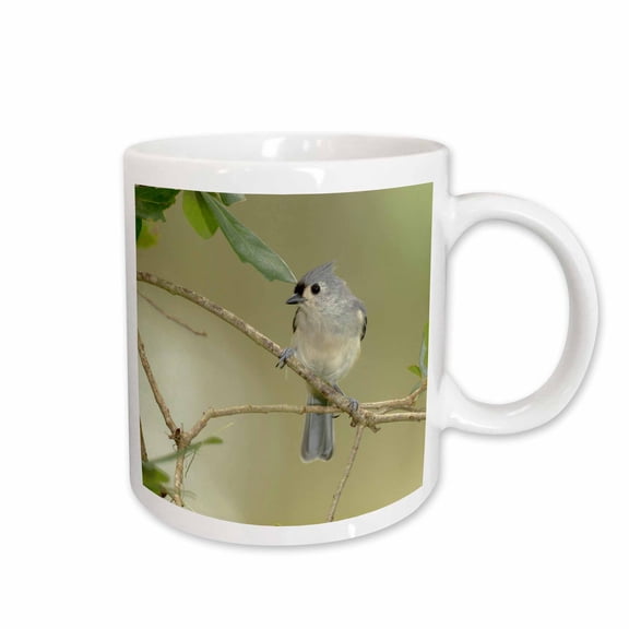 3drose, Tufted Titmouse, Baeolophus Bicolor, in Live Oak Tree, Florida, 15oz Mug