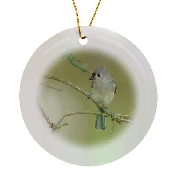 3drose, Tufted Titmouse, Baeolophus Bicolor, in Live Oak Tree, Florida, Circle Porcelain Ornament